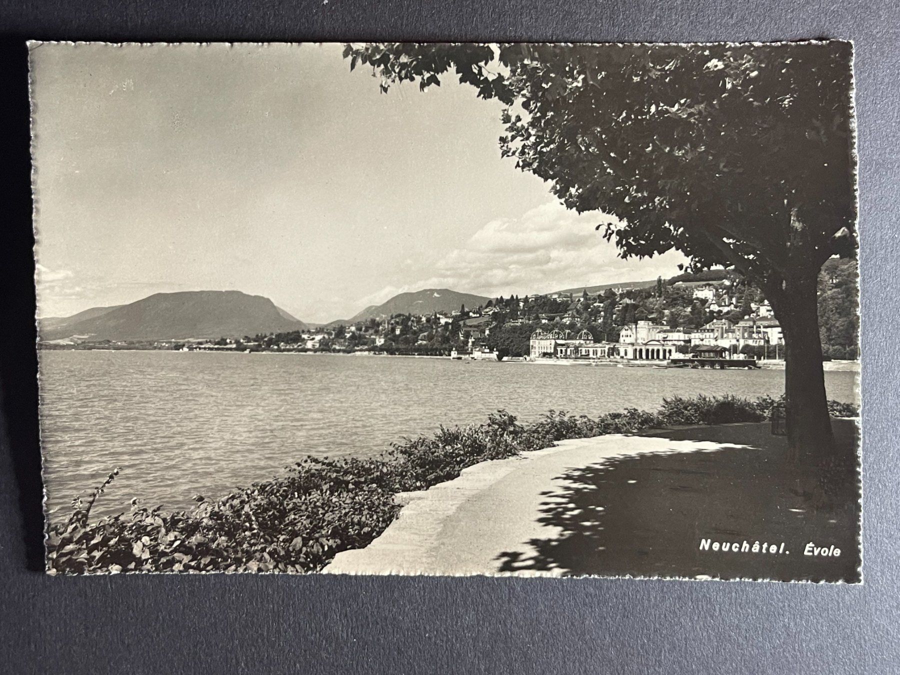 Ansichtskarten: Neuenburg – Gebraucht aus Steg VS von _vinci_