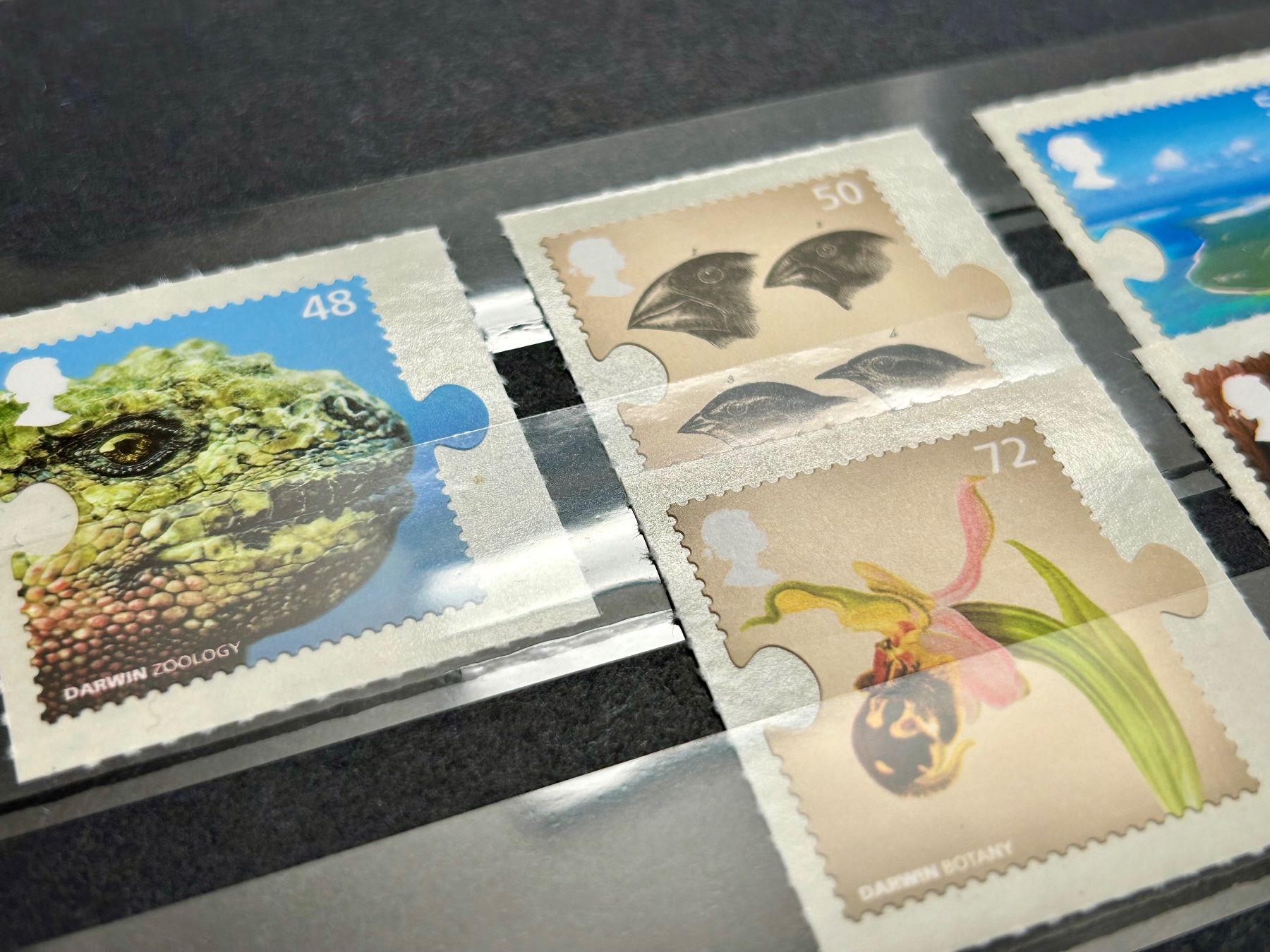 Alle Briefmarken: Seltene interessante Seie - "Darwin", postfrisch – Neu (gemäss Beschreibung) aus Braunau von Duczelli 1