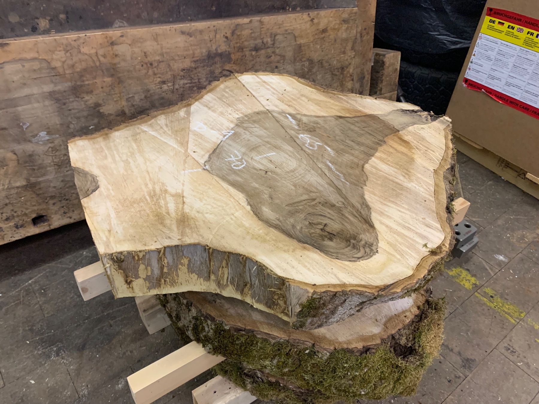 Holzartikel: Baumscheibe Nussbaum / Holzscheibe – Gebraucht aus Seedorf UR von Lochy 5