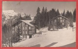Wengen - Berg-Heim und Chalet Alpenblick - Fotokarte 1927