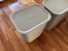 3x Rotho BRISEN 50l Waschkörbe