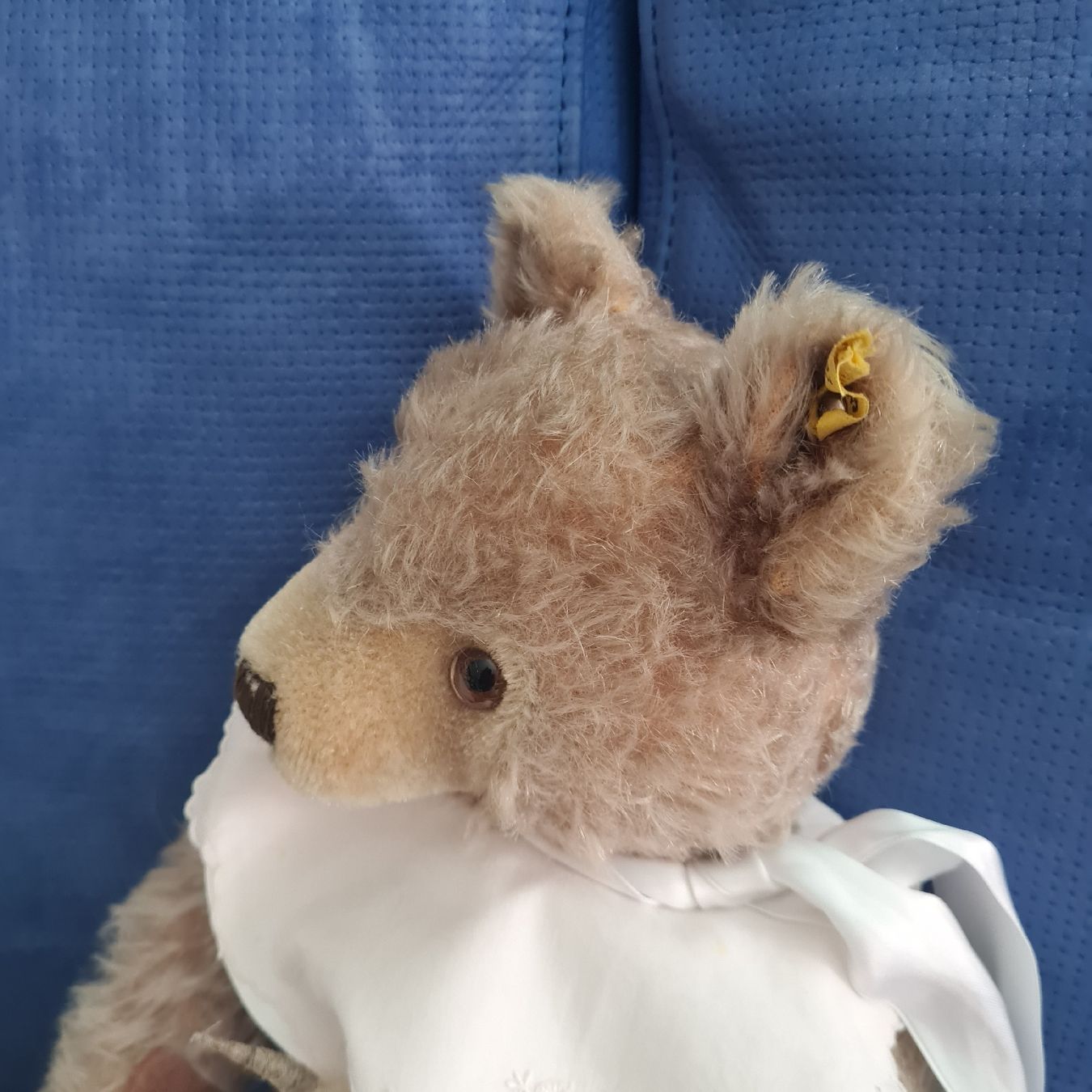 Steiff Giocattoli: STEIFF TEDDY BÄR mit dem kleinen Silberknopf ca.35cm – Usato da Siebnen venduto da annigannig 2
