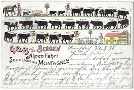 GRUSS aus den BERGEN Alpen Fahrt -  SOUVENIR  DES  MONTAGNES