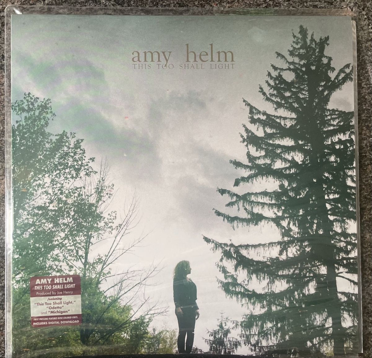 Dischi in vinile: Amy Helm / This too Small light - Vinyl LP  – Usato da Olten venduto da Bluespapst