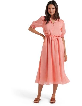 Ever New Cotton Elegant Midi Dress