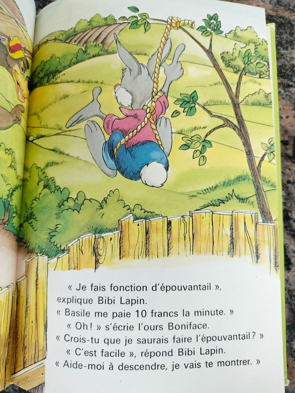 Libri: Bibi Lapin Et Ses Amis Disney (Studio) – Usato da Cortaillod venduto da rozinna 5