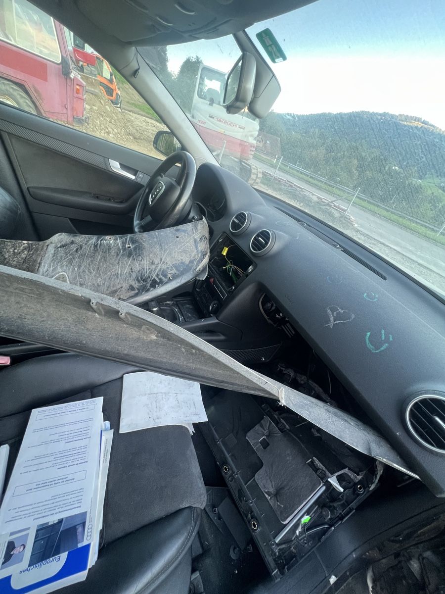 Audi Automobili: Audi A8 8P Defekt – Difettoso da Ebnat-Kappel venduto da Toggenburger1879 4
