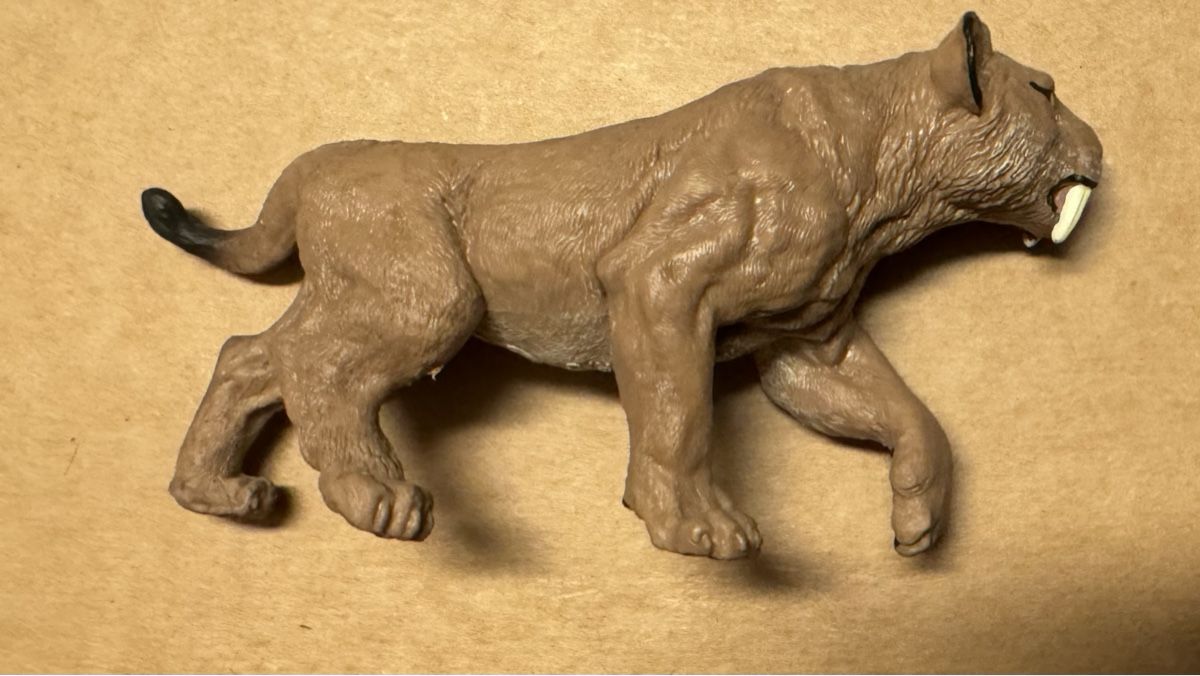 Giocattoli: Papo Säbelzahn Tiger – Usato da Wettswil venduto da osoma99 4
