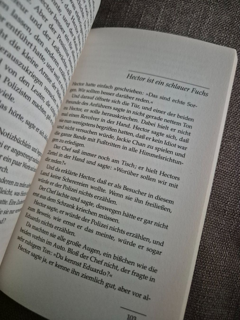 Libri: Hectors Reise oder die Suche nach dem Glück – Nuovo (secondo la descrizione) da Reigoldswil venduto da lus_76dn 2
