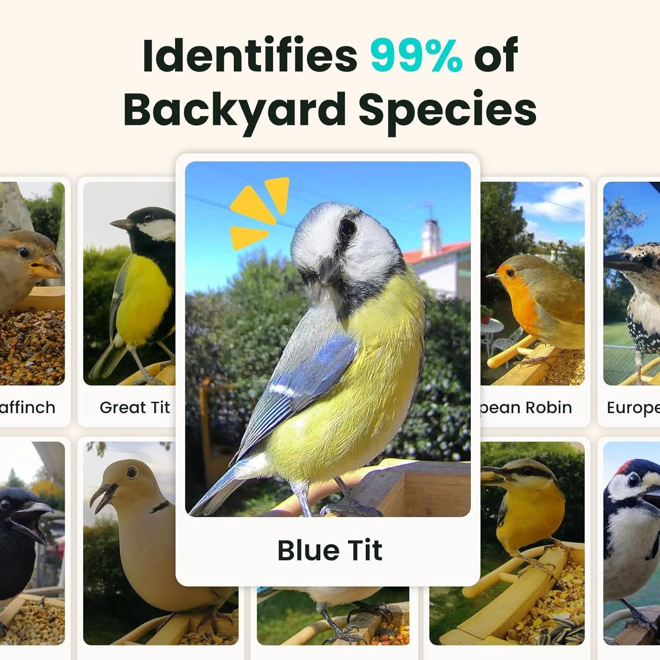 Casette per uccelli: Vogelfutterhaus Kamera Solar KI-Erkennung 1080P App – Nuovo e nell'imballaggio originale da Hallau venduto da Sale50OFF 5