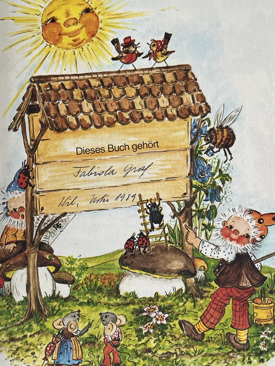 Bücher: "Komm mit ins Wichtelreich" - Kinderbuch – Gebraucht aus Hirzel von carta9 2