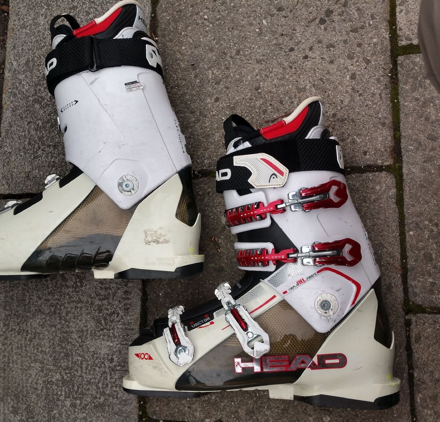 Head Scarpe da uomo: Head Vector Skischuhe Gr 29 oder 45 Härte 100 – Usato da Zürich venduto da ElenaTT 1