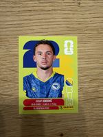 Panini WM 2026 Sticker BIH 3 Amar Dedić