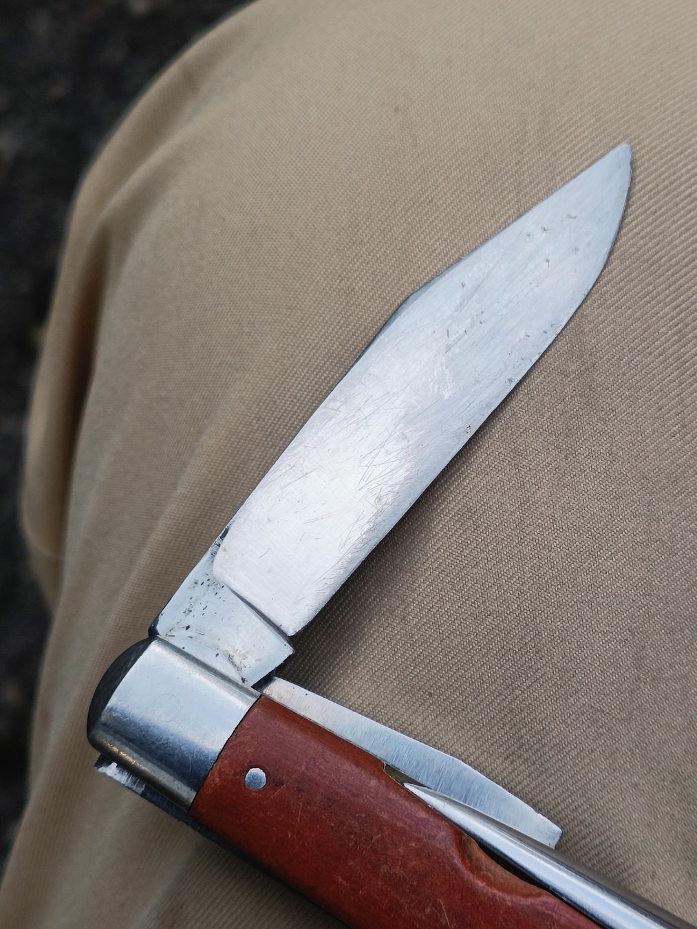 Wenger Coltelli tascabile: Sackmesser Wenger Tahara  – Usato da Brugg AG venduto da Ente015 3