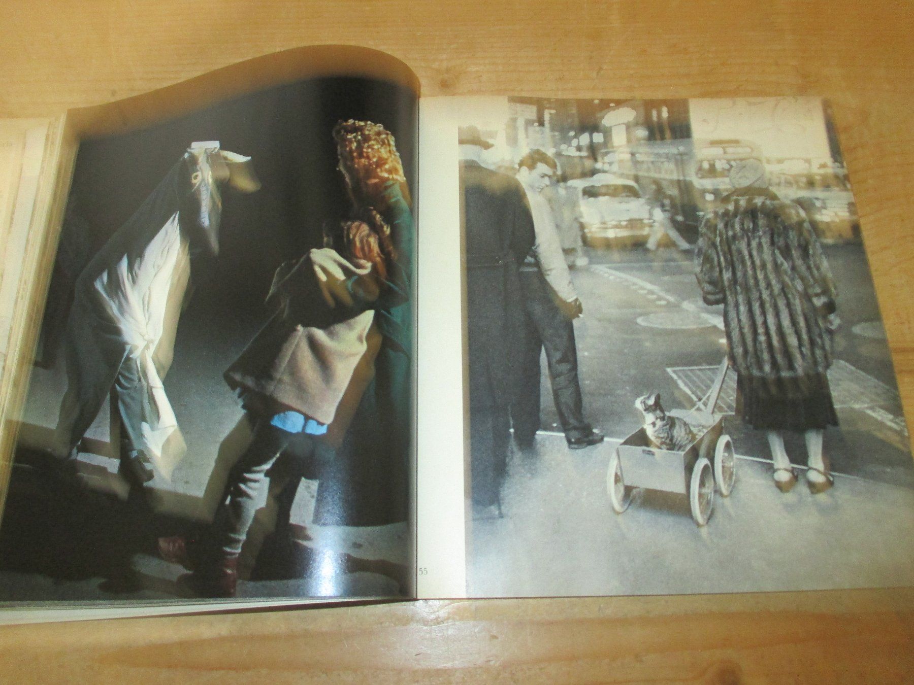 Libri: Der Mensch mit den Tieren, 1965 – Usato da Flims - Dorf venduto da Stagediver 5