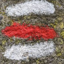 Profile image of Cultic