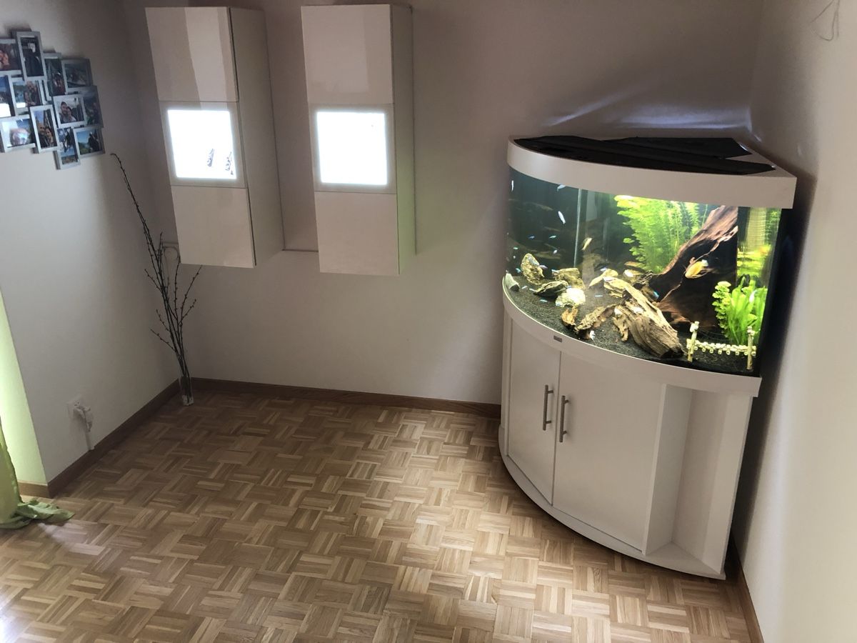 Juwel Aquarium: JUWEL Trigon 350 Liter – Gebraucht aus Berikon von MLukethe1st 4