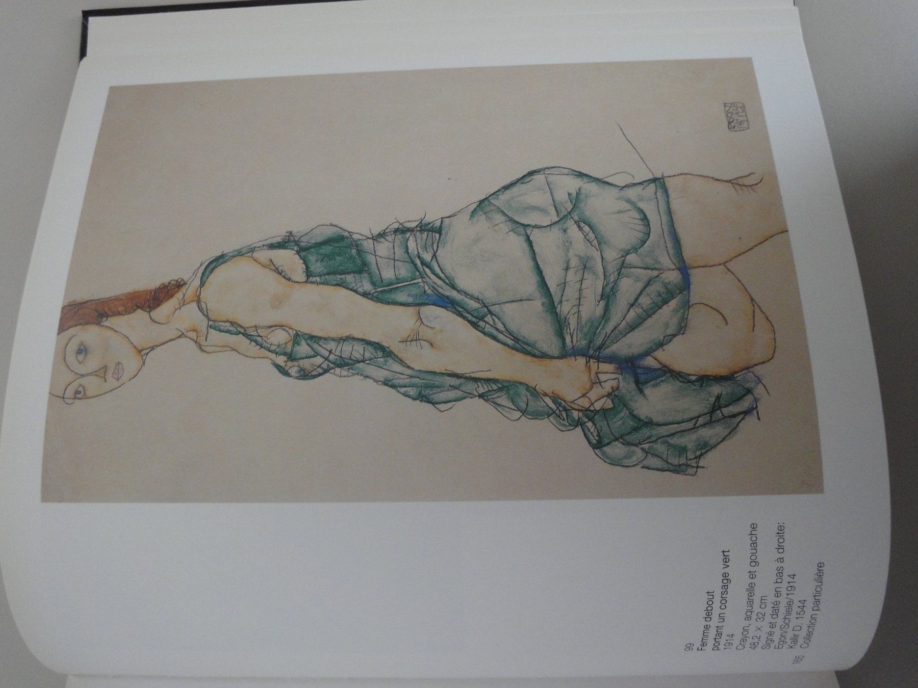 Libri: EGON SCHIELE – Nuovo (secondo la descrizione) da Biel/Bienne venduto da 07helios032 7