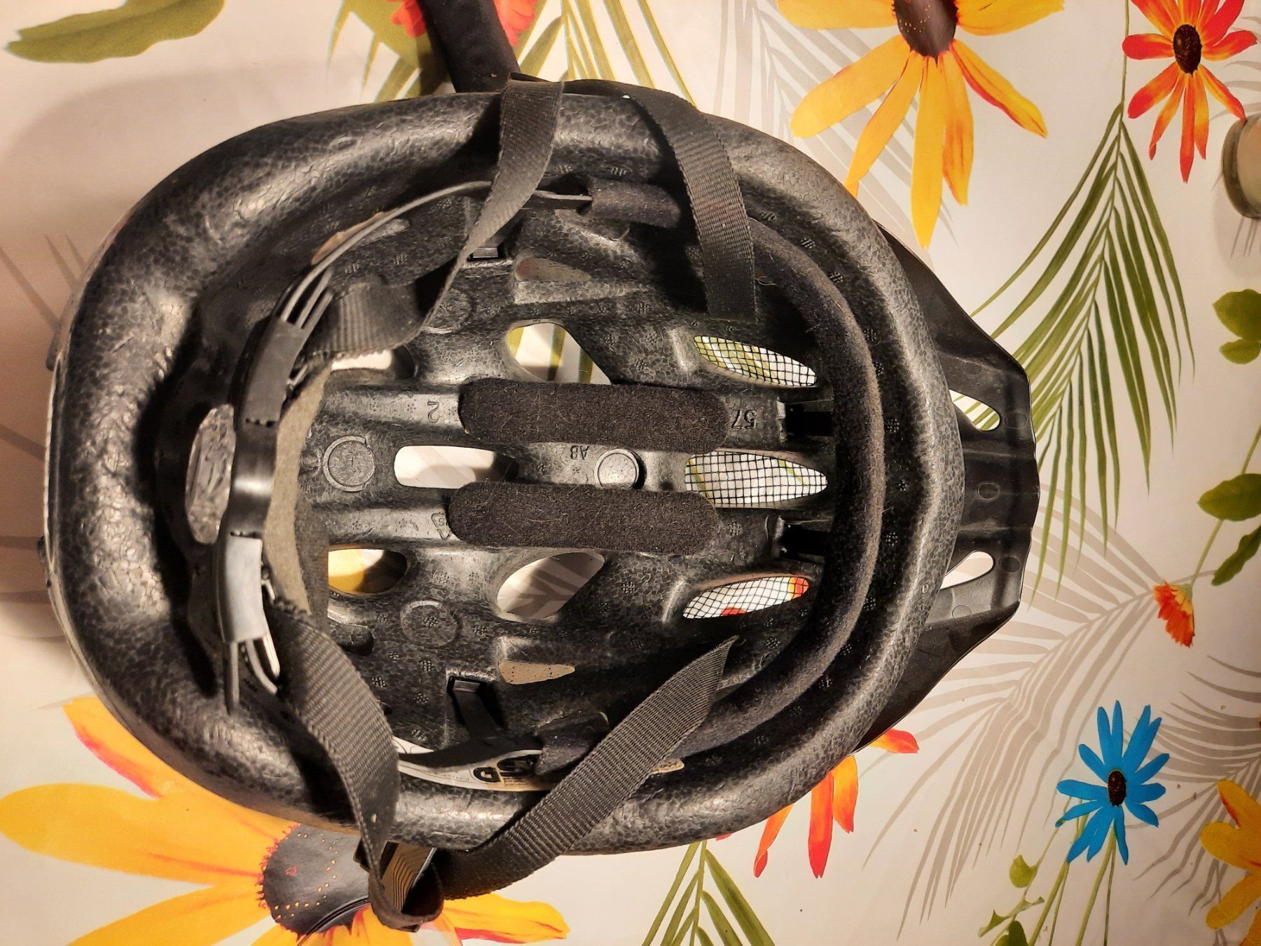 Alpina Caschi: Fahradhelm,Velohelm – Usato da Wattwil venduto da Parase 4