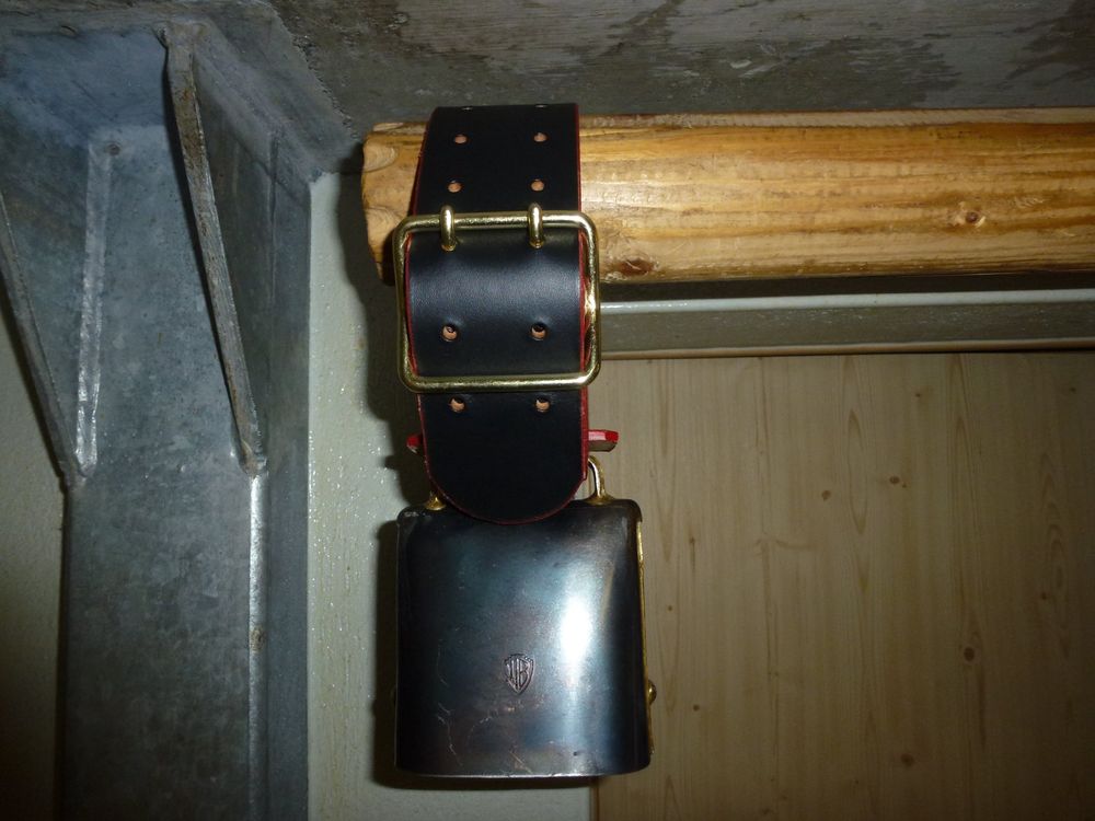 Büeler Kaufen auf Ricardo