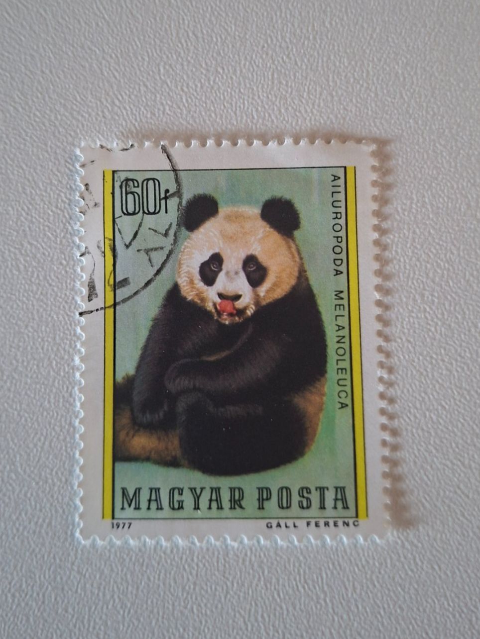 Tutti i francobolli: Ungarische Briefmarke Panda Bär, 1977 – Usato da Erlinsbach venduto da pfunky