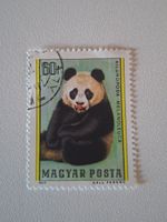 Ungarische Briefmarke Panda Bär, 1977