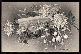 AK Bienne, Vue générale de la ville sous la neige, Ortsansic
