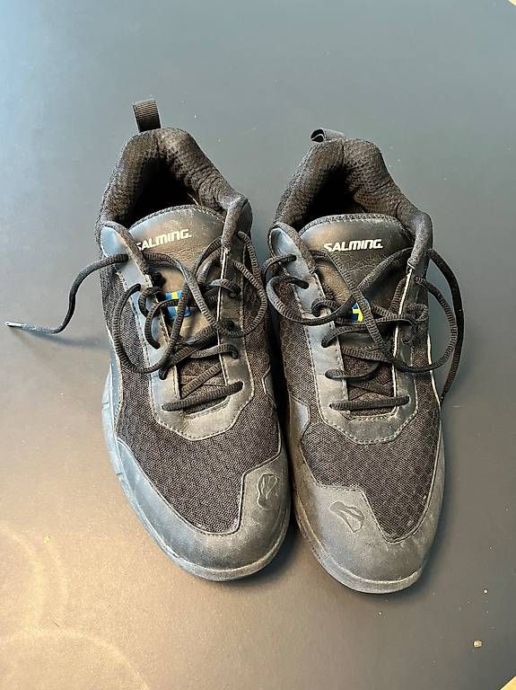 Herrenschuhe: Hallenschuhe Grösse 46 - top Zustand – Gebraucht aus Bern von danigro
