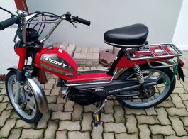 KTM Pony 503 GTX