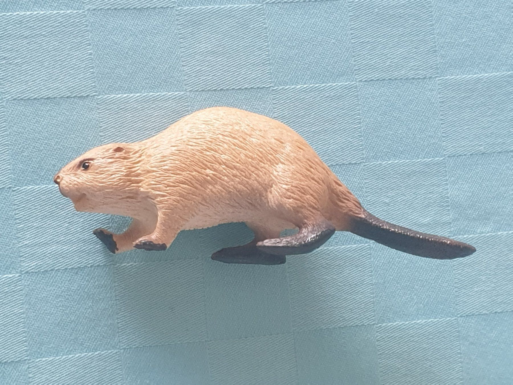 Schleich Statuette: Biber Tier Schleich – Usato da Mörschwil venduto da spirspi