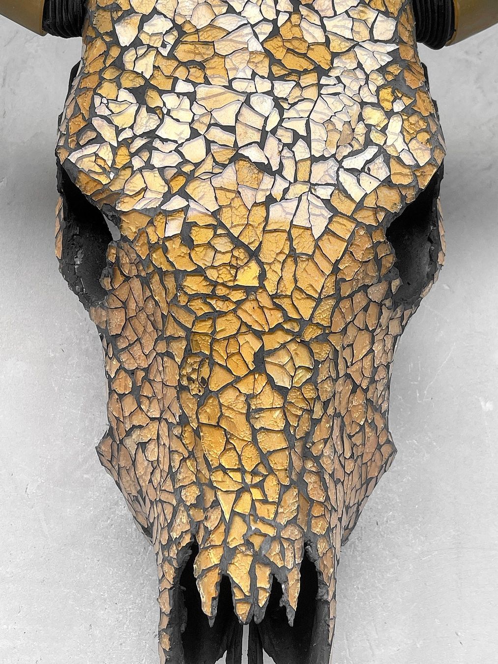 Sculture & Statue: Glasmosaik-Inlay - Schädel - Bos Taurus – Usato da Bruettisellen venduto da Collector_Store 4