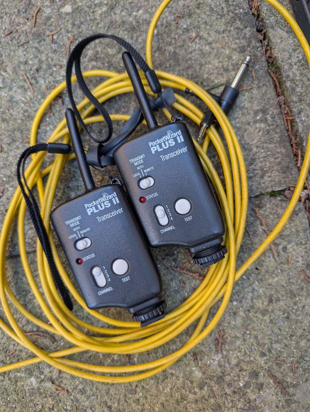 Flash: Balcar Starflash 1 Studioblitzanlage zu verkaufen! – Usato da Zürich venduto da Scidoo 6