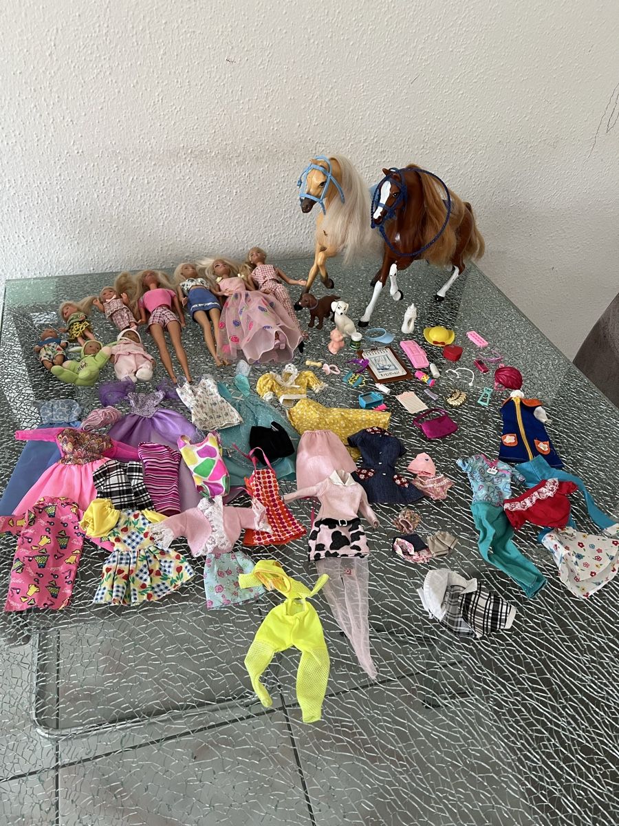 Bambole: Grosses Barbie-Set – Usato da Staad SG venduto da fab_2nk9