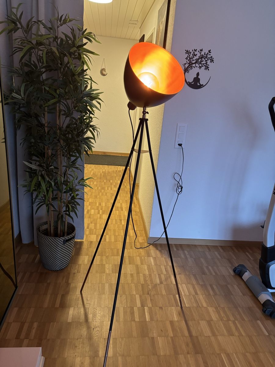 Lampade: Stehlampe mit Birne – Usato da Giswil venduto da Petrapfennigwerth