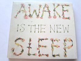 CD Ben Lee – Awake Is The New Sleep ( Indie Rock 2005 )