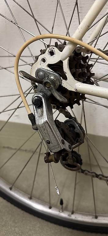 Biciclette: Rennvelo Super Mondio Oldtimer – Usato da Oftringen venduto da sdo_5gdp 1