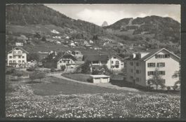 Carte P ( Blonay s/Vevey et la Dent de Jaman )