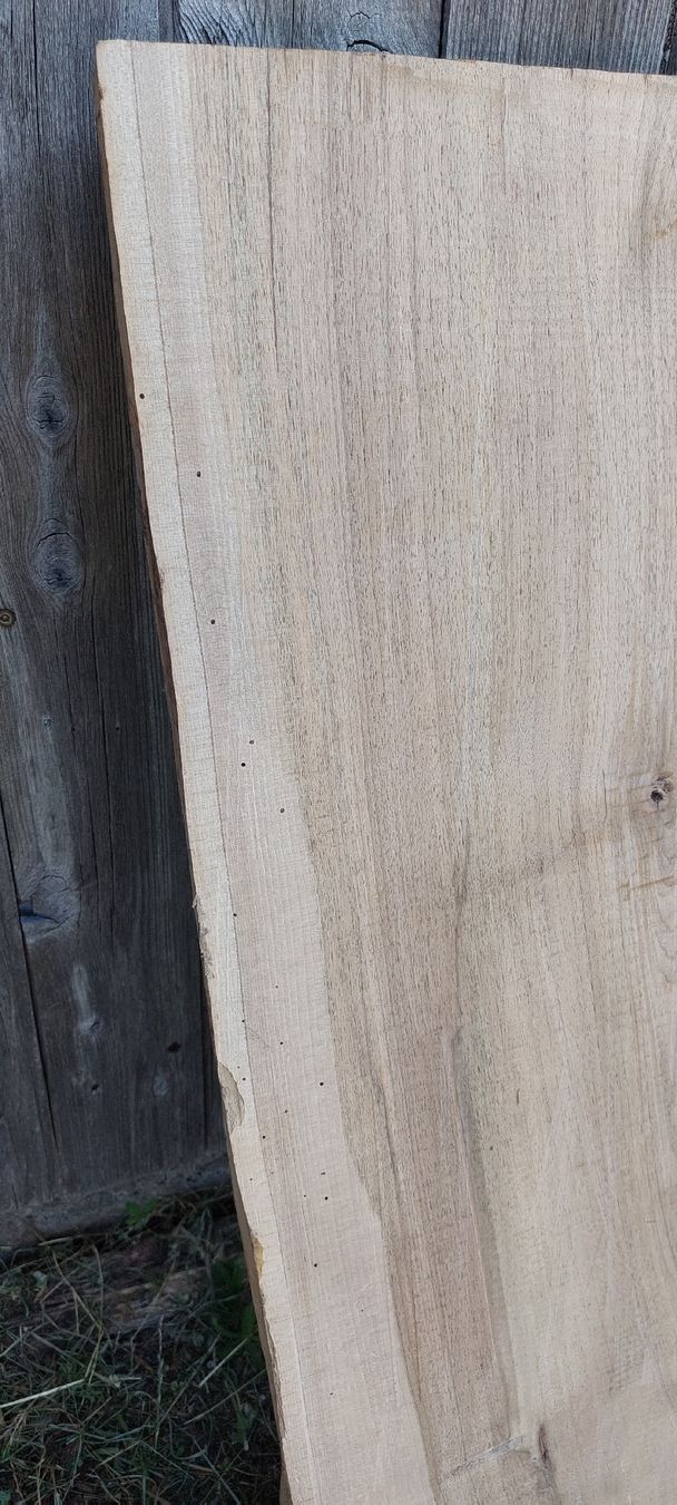 Articoli in legno: Schweizer Nussbaumholz – Difettoso da Giswil venduto da Stocki02 5