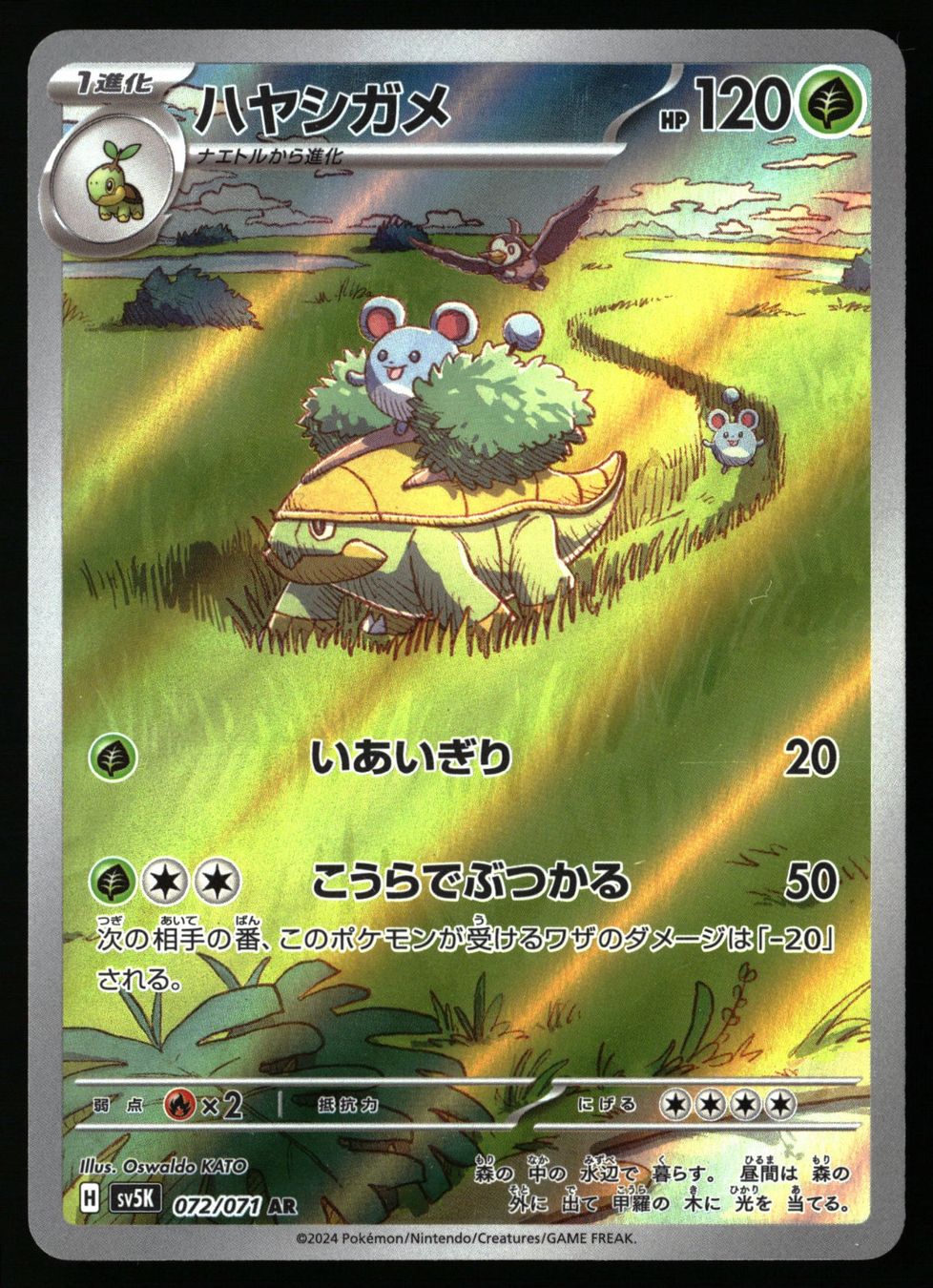 Pokémon Cartes à collectionner: Grotle #72 Pokemon Japanese Wild Force sv5K – D'occasion à Feuerthalen par Plazatoys