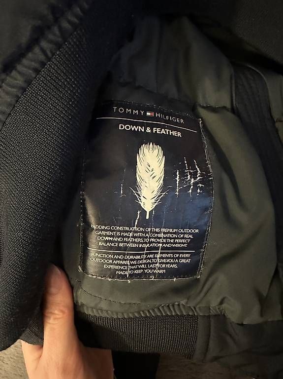 Tommy Hilfiger Jacken: Tommy Hilfiger Winterjacke L – Gebraucht aus Gockhausen von louparent 3