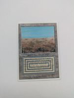 MTG - Buschland / Scrubland NM