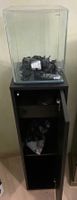 Aquarium de 20 litres utilisé pendant 2 ans