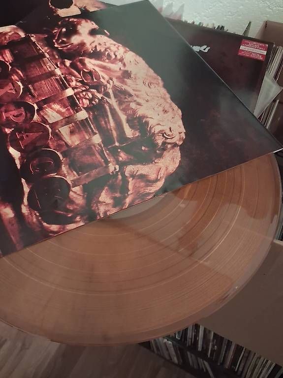 Dischi in vinile: Toxpack - Epidemie Vinyl – Usato da Niederönz venduto da bea_fn77 2