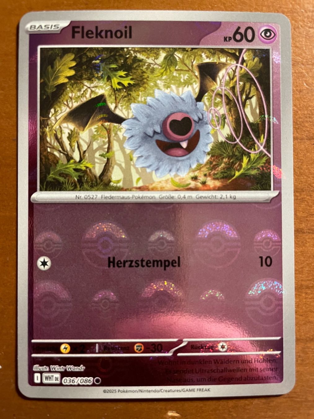 Pokémon Carte collezionabili: Pokemon Fleknoil Pokeball (Versand gratis) – Nuovo (secondo la descrizione) da Chur venduto da Angerson