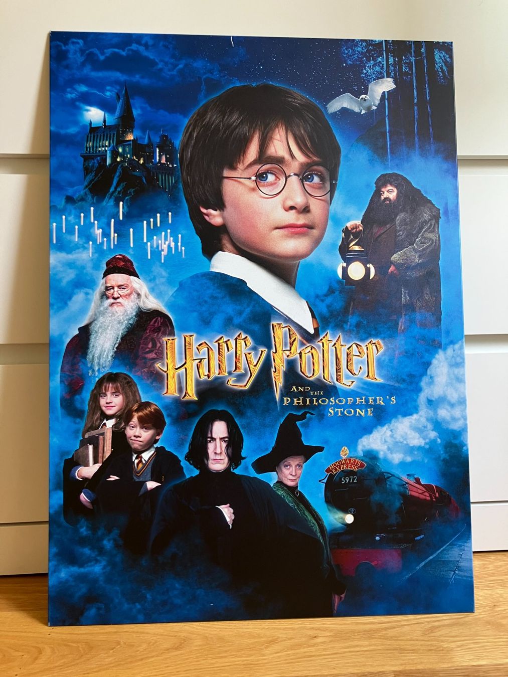 Posters & Illustrations: Harry Potter Philosopher's Stone Displate L – D'occasion à Langenthal par lunalovegood_
