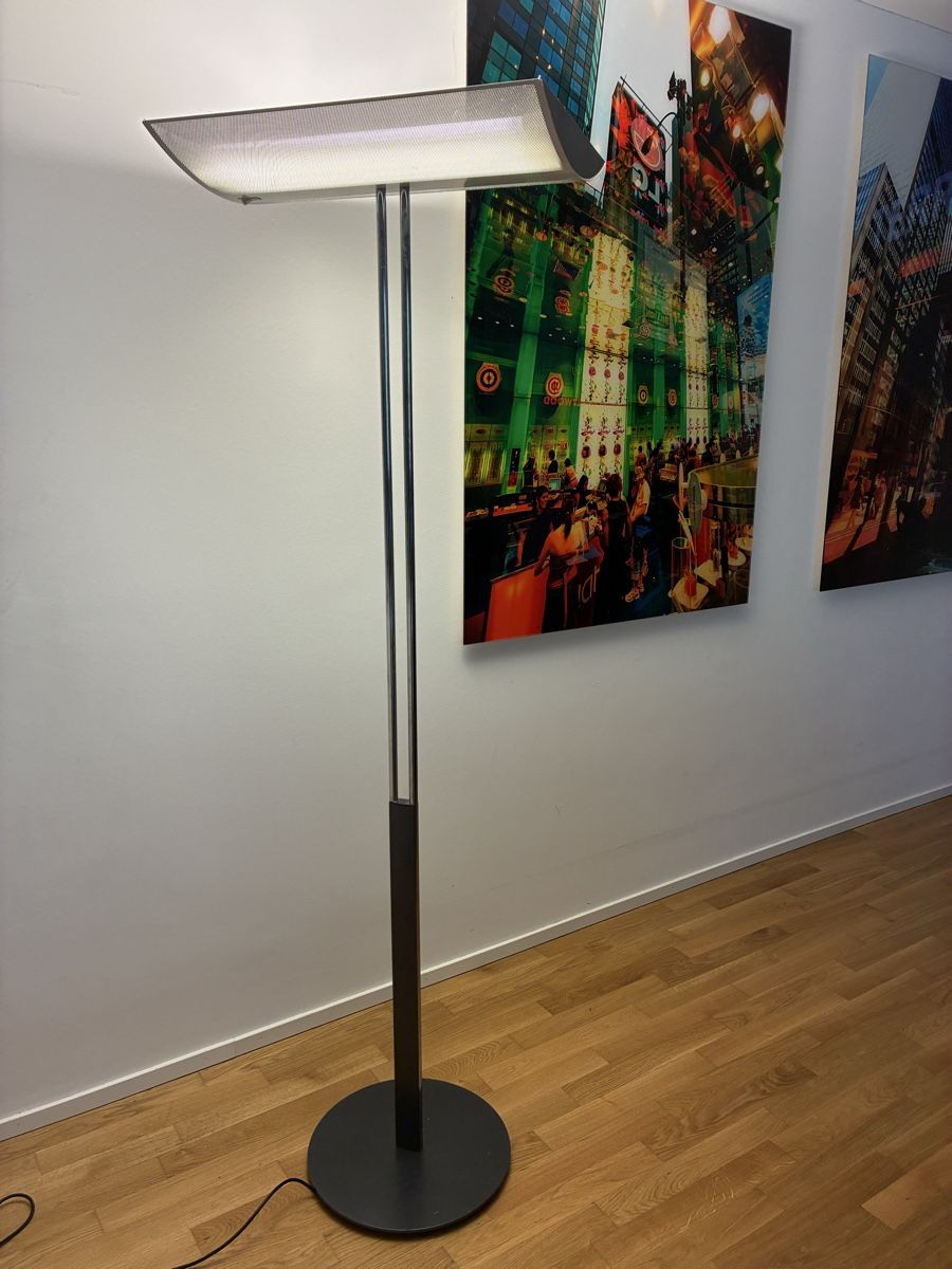 Regent Lampade: Regent Stehlampe – Usato da Basel venduto da leonharda 4
