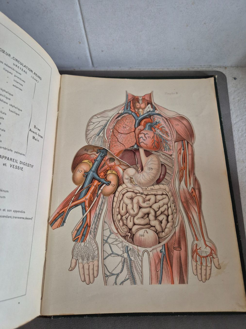 Libri: Larousse Médical Illustré - Edition Ancienne – Usato da Fully venduto da tameab 2