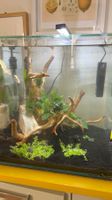 Aquarium Kubus 55l