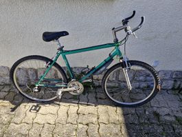 VTT Condor Swiss Bike