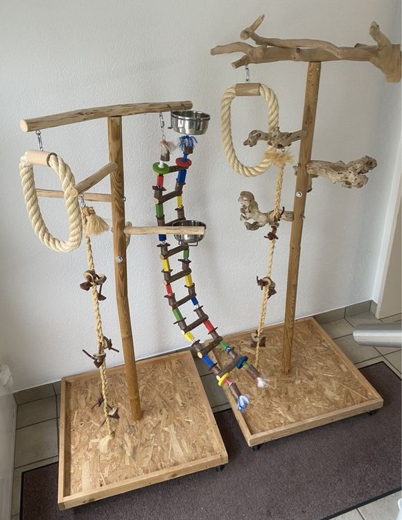 Vogelbadewanne Aus Edelstahl Für Tauben & Papageien - Stressreduzierend, Langlebig